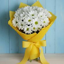 Букет цветов из:  Хризантемы в Сурхахи