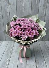 Букет цветов из:  Хризантемы в Сурхахи