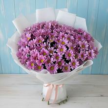 Букет цветов из:  Хризантемы в Сурхахи