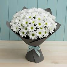 Букет цветов из:  Хризантемы в Сурхахи