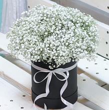 Цветочная композиция из Гипсофила в шляпной коробке #REPLACE_PRED# Сурхахи