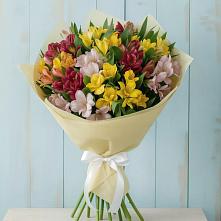 Букет цветов из:  Альстромерии в Сурхахи